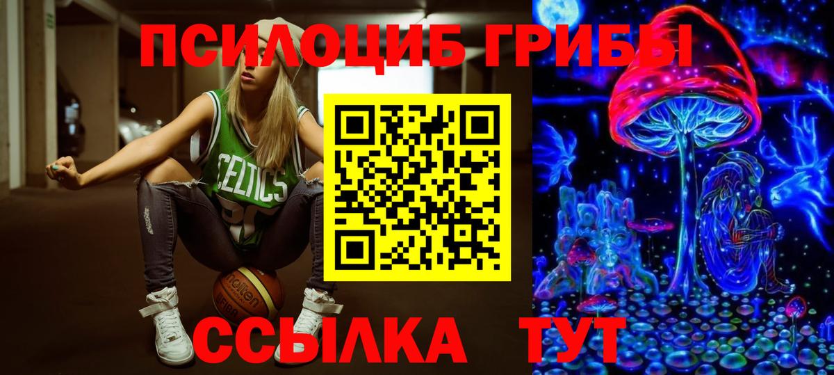 Галлюциногенные грибы GOLDEN TEACHER  Вход с VPN  Ахтубинск 